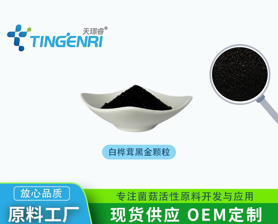 白桦茸黑金粉 速溶袋泡茶