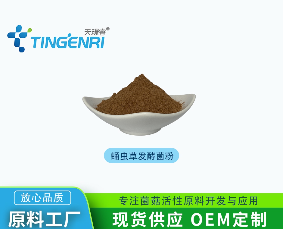 虫草发酵菌粉 CS-4（液体发酵） 固体发酵