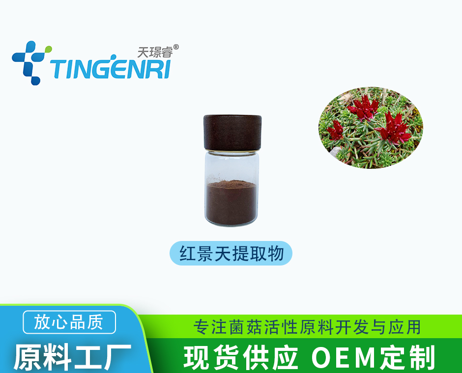 红景天提取物 1%-98%
