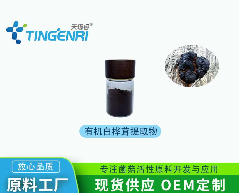 有机白桦茸提取物