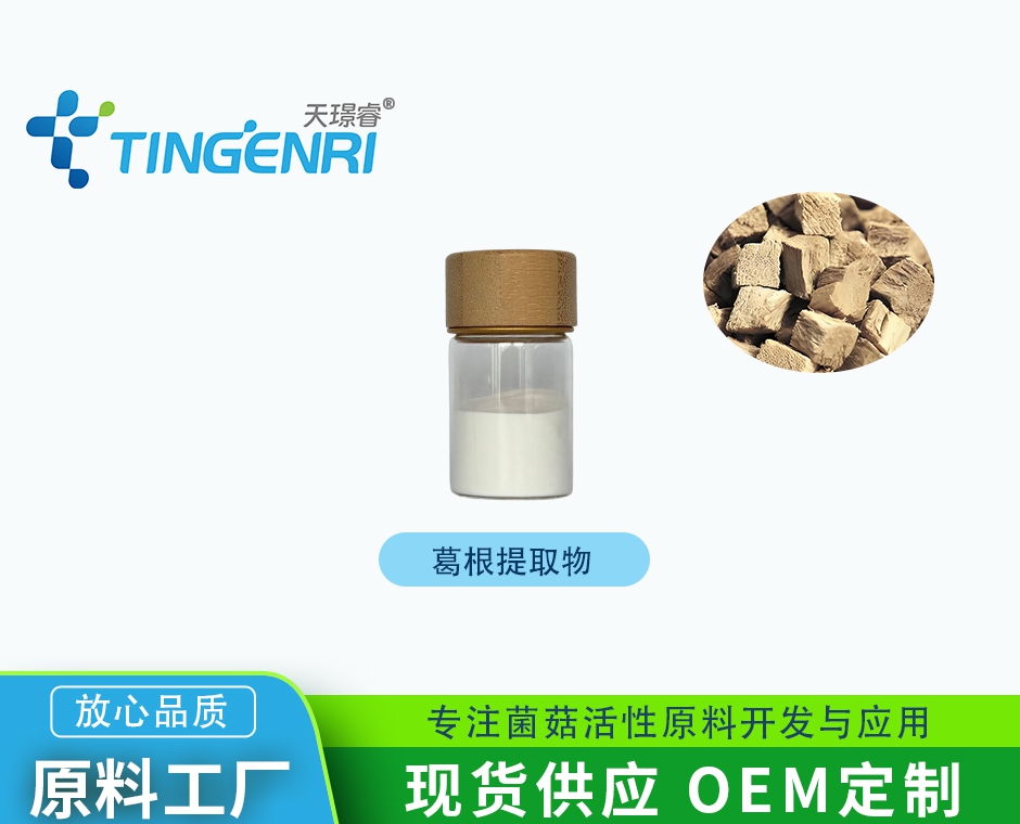 葛根提取物 厂家热销