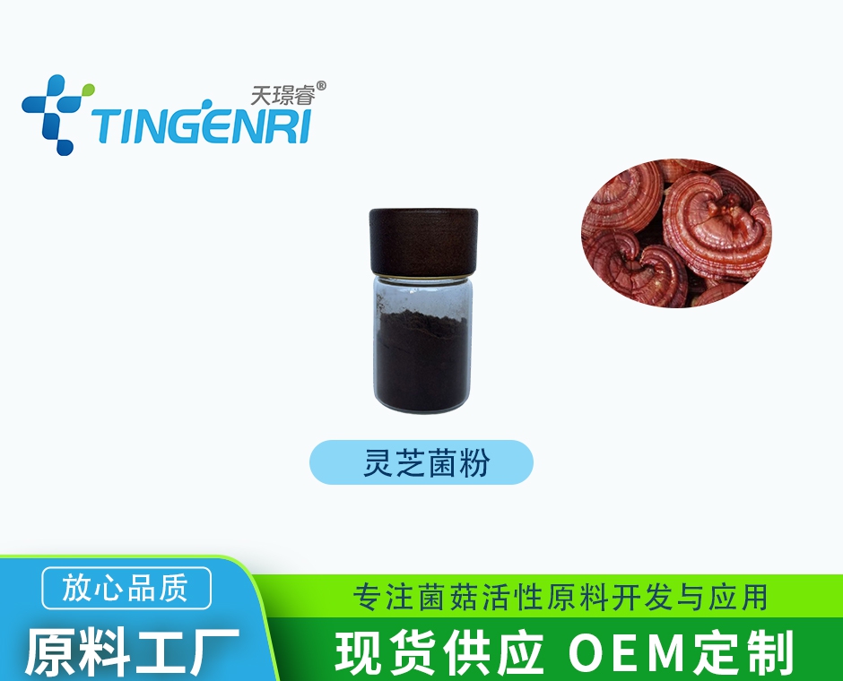 灵芝菌粉 灵芝粉 饲料添加剂