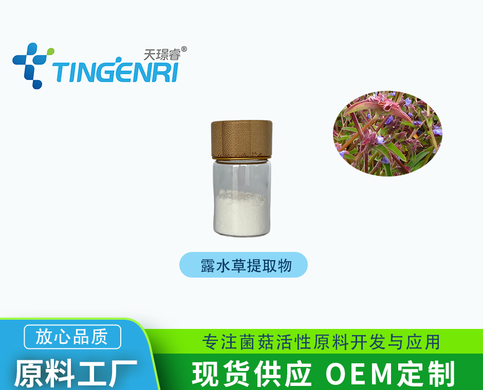 露水草提取物 蜕皮甾酮